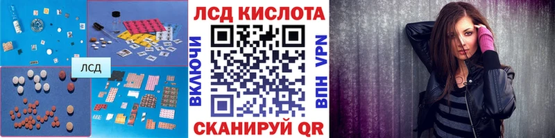 купить наркотики цена  Стародуб  Лсд 25 экстази ecstasy 